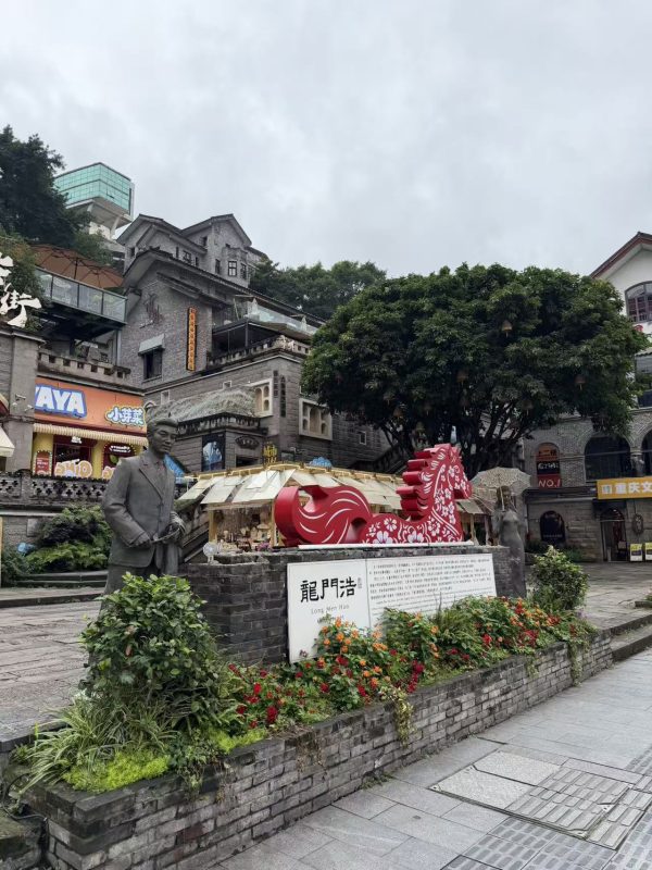 去一次重庆，真的还会想去-989论坛